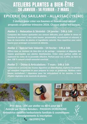 Atelier tisanes et baumes