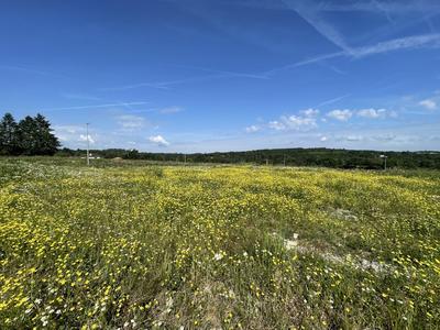 Terrain constructible - 1 267 m²