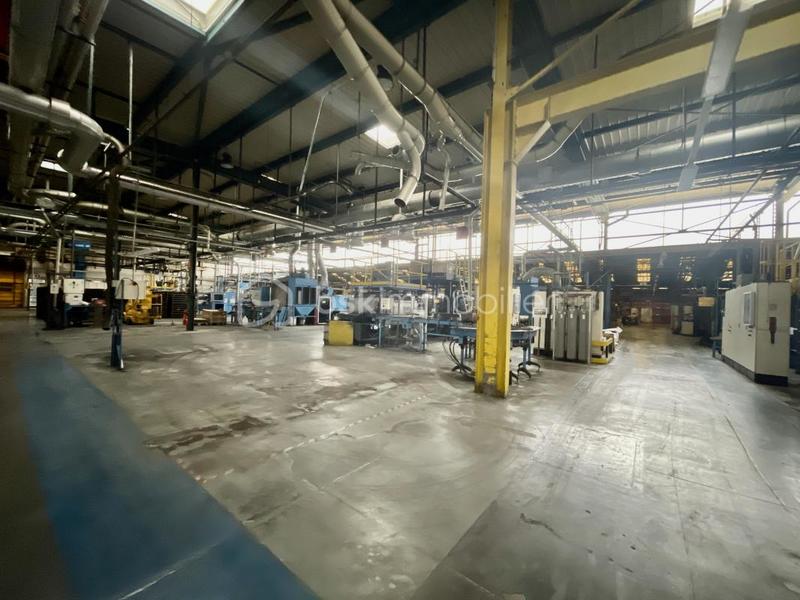 Bureau - 9 000 m² - 50 pièces