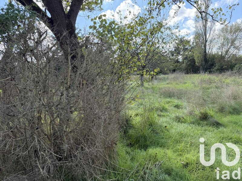 Maison de village - 50 m² - 4 pièces