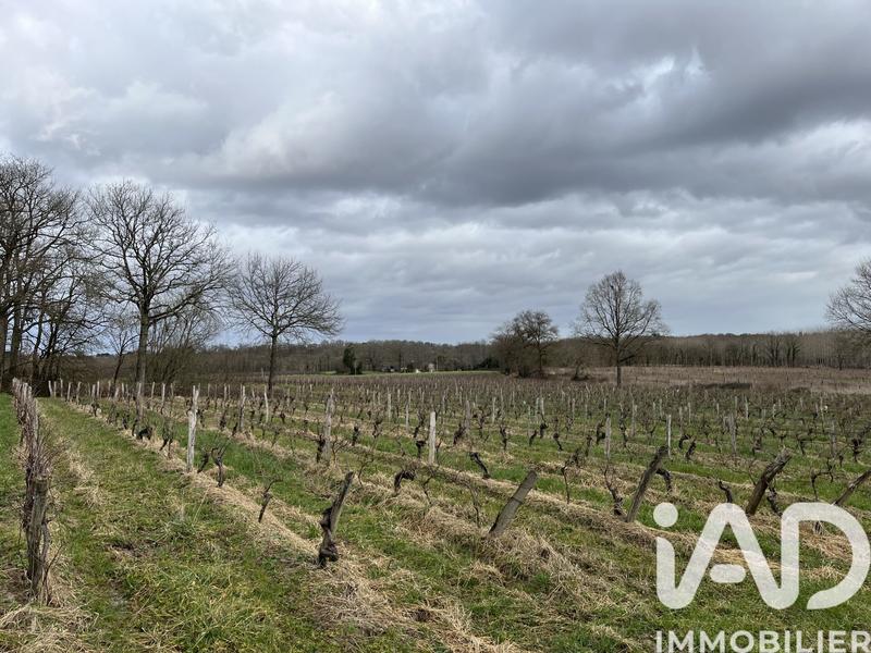 Terrain agricole - 132 080 m²