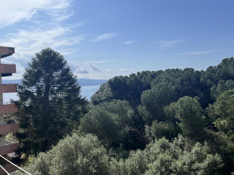 Studio - 32 m² - 1 pièce