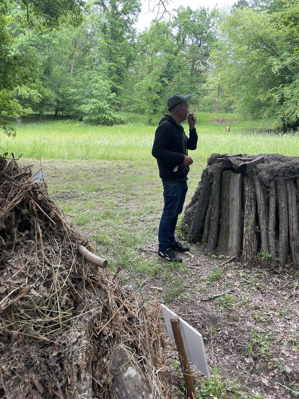 Journée internationale des forêts : randonnée botanique et poétique