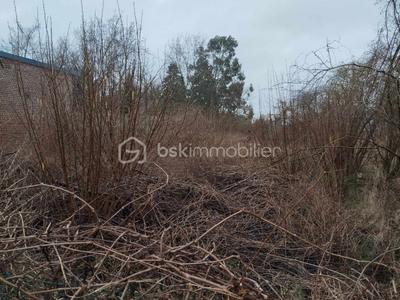 Terrain de loisirs - 1 097 m²