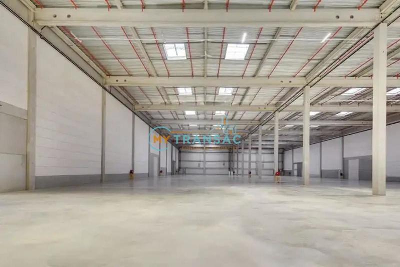 Local d'activité / Entrepôt - 6 280 m²