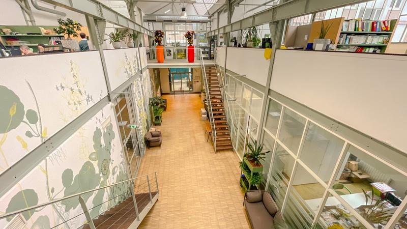 Local d'activités - 708 m²