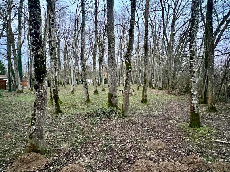 Maison - 65 m² - 4 pièces