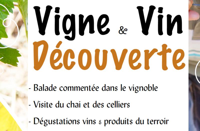 Vigne et vin découverte | Domaine du Siorac