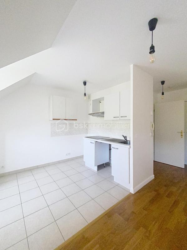 Studio - 24 m² - 1 pièce