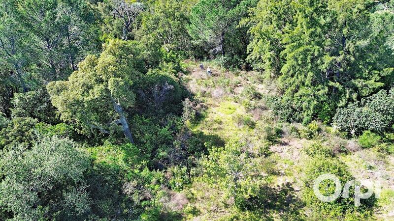 Terrain constructible - 9 577 m²