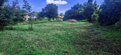 Terrain - 650 m²