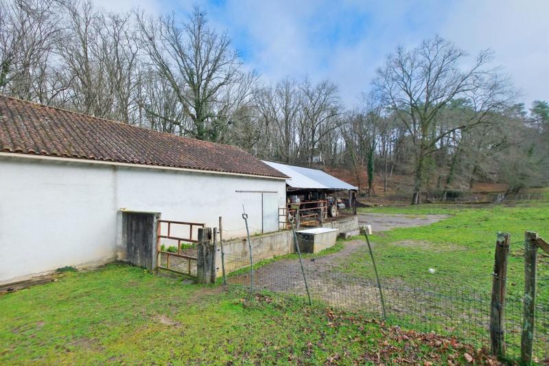 Terrain - 24 000 m²