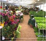 Vitagri - Jardinerie de Bruyères