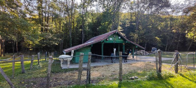 Maison - 246 m² - 7 pièces