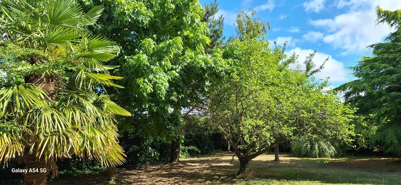 Maison - 153 m² - 7 pièces