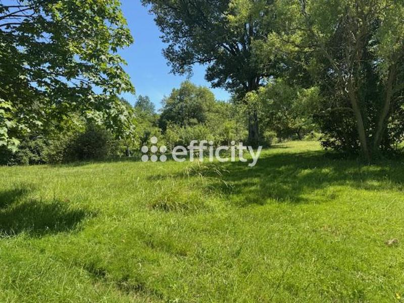 Maison - 220 m² - 10 pièces