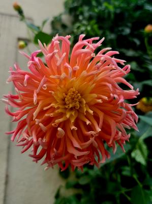 Promenade : &quot;Les petits hameaux colorés au sud de Paris&quot;