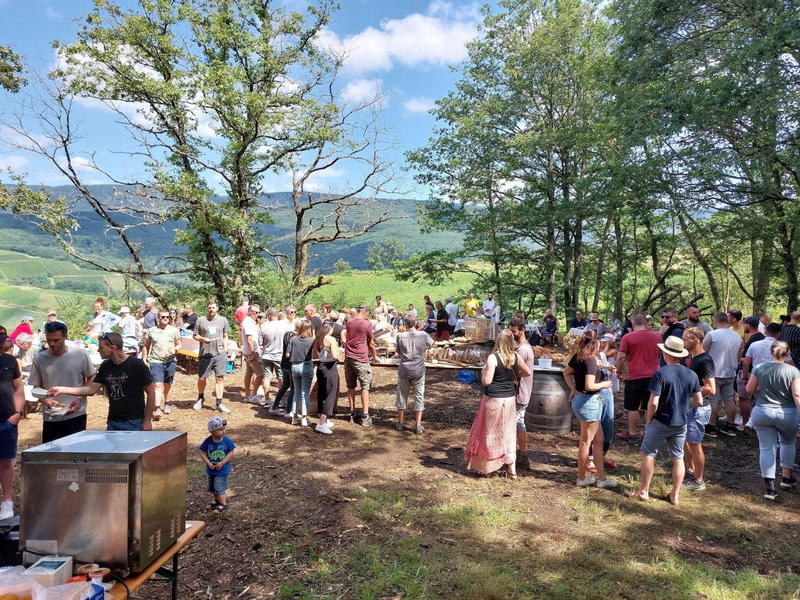 Brunch dans les vignes