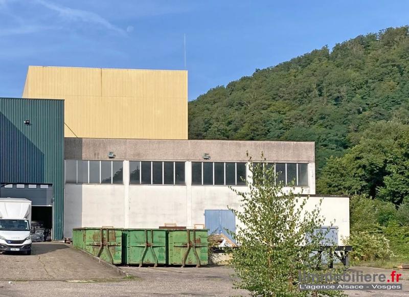 Entrepôt - 7 176 m²