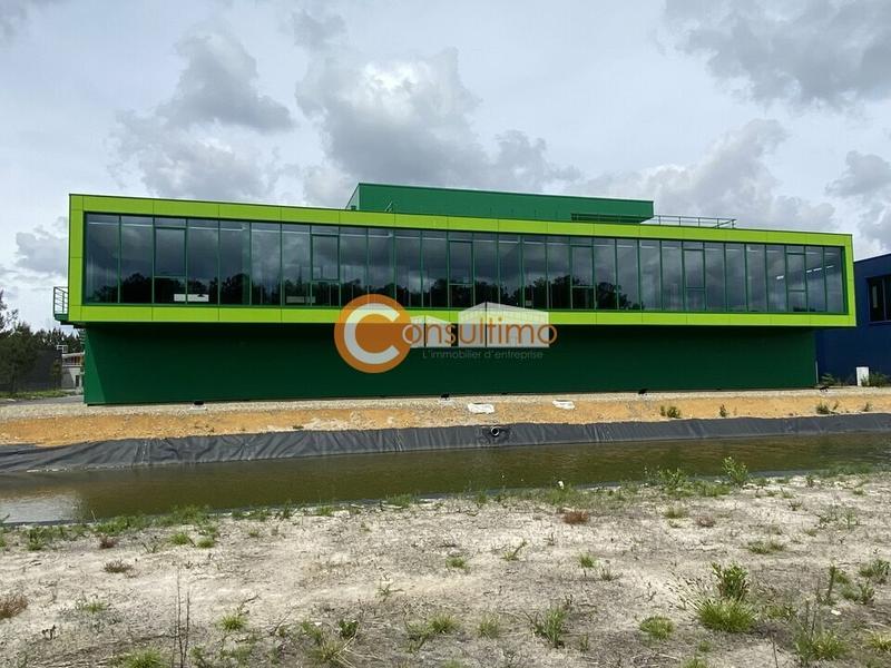 Local d'activité / Entrepôt - 782 m²