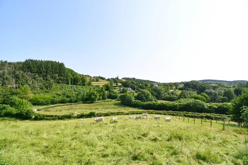 Maison ancienne - 180 m² - 5 pièces