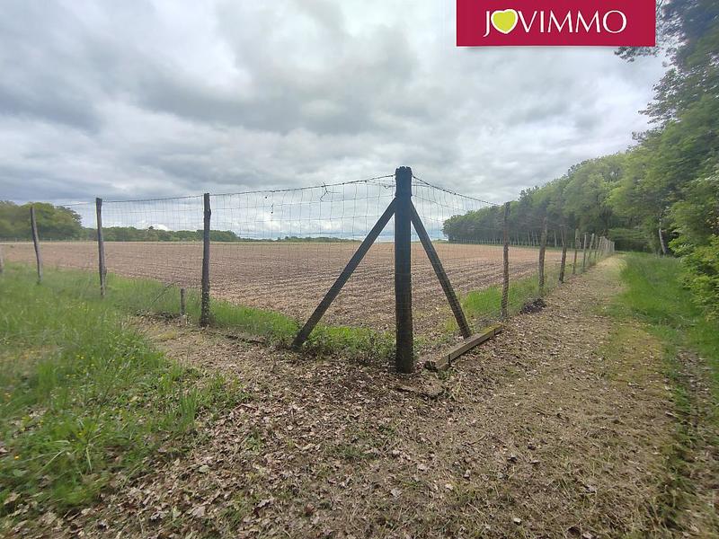 Terrain - 100 000 m²