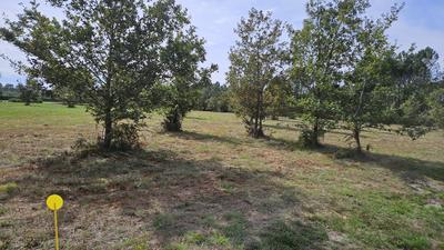 Terrain - 11 969 m²