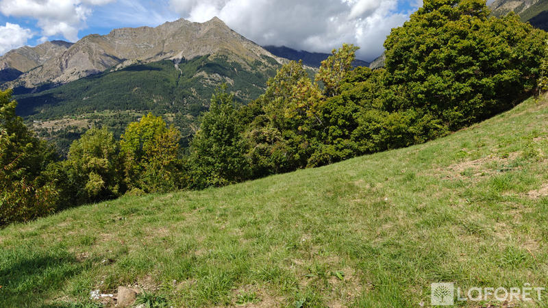 Terrain - 797 m²