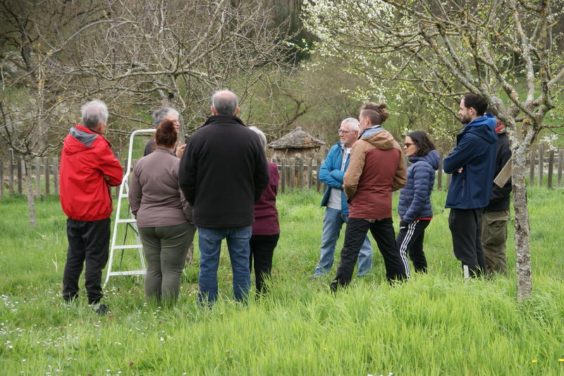 Démonstration taille et greffe au verger de l'Ecomusée du Montmorillonnais, site de Juillé avec l'association des Croqueurs de Pommes