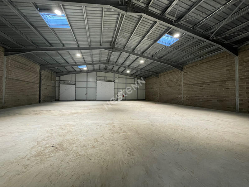 Local d'activité / Entrepôt - 1 134 m²