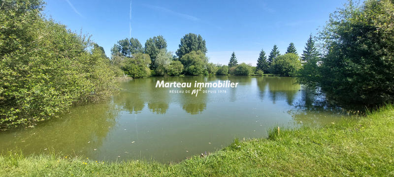 Terrain de loisirs - 25 730 m²