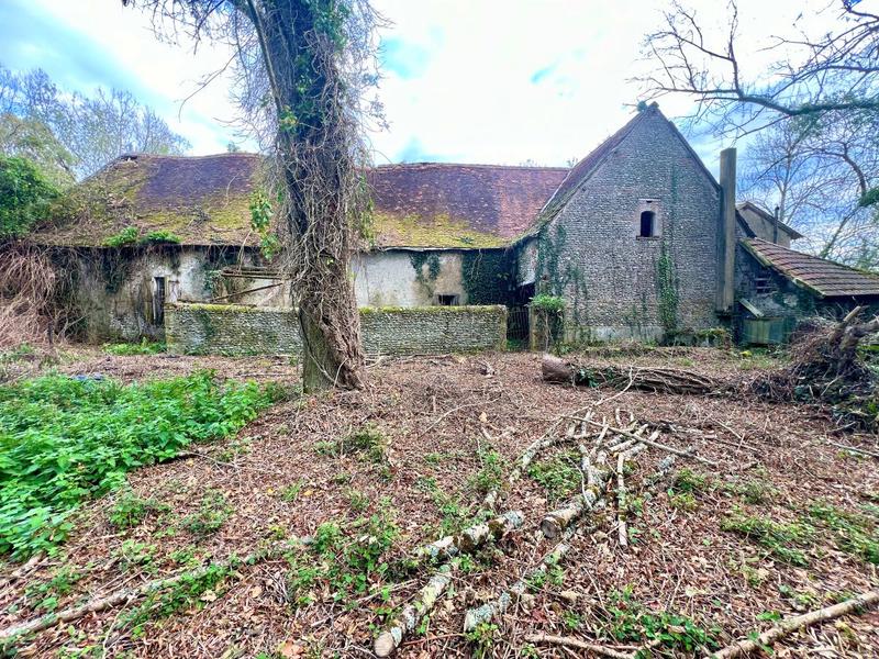 Château - 1 500 m² - 11 pièces