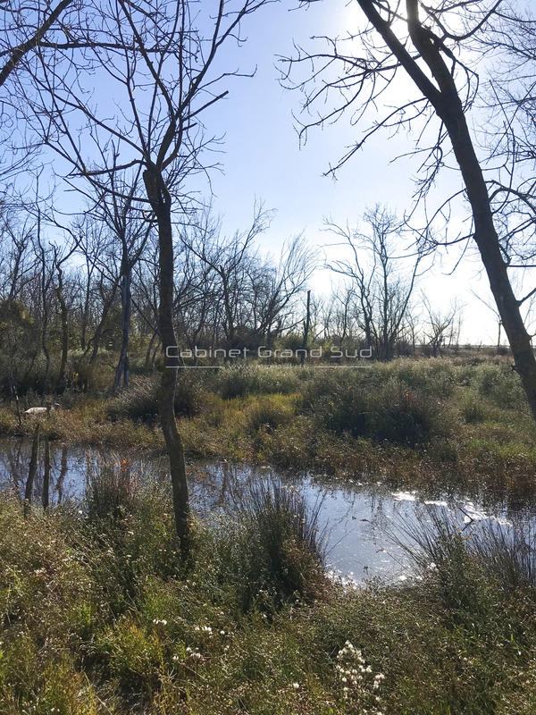 Terrain de loisirs - 1 488 m²