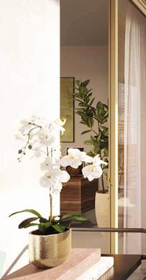 Appartement - 98 m² - 5 pièces