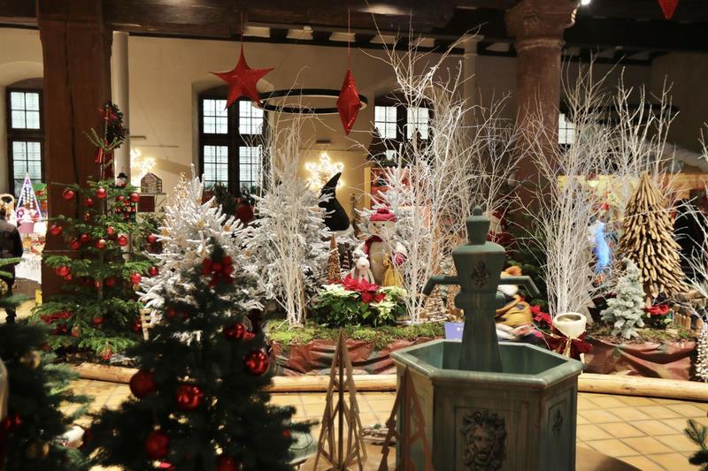 Exposition : sous les étoiles