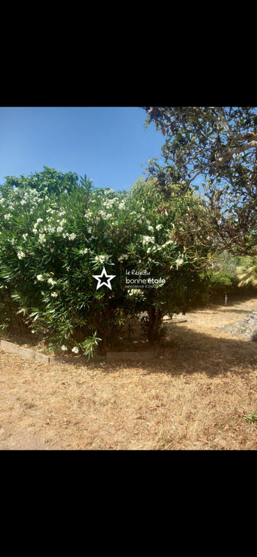 Maison - 137 m² - 6 pièces