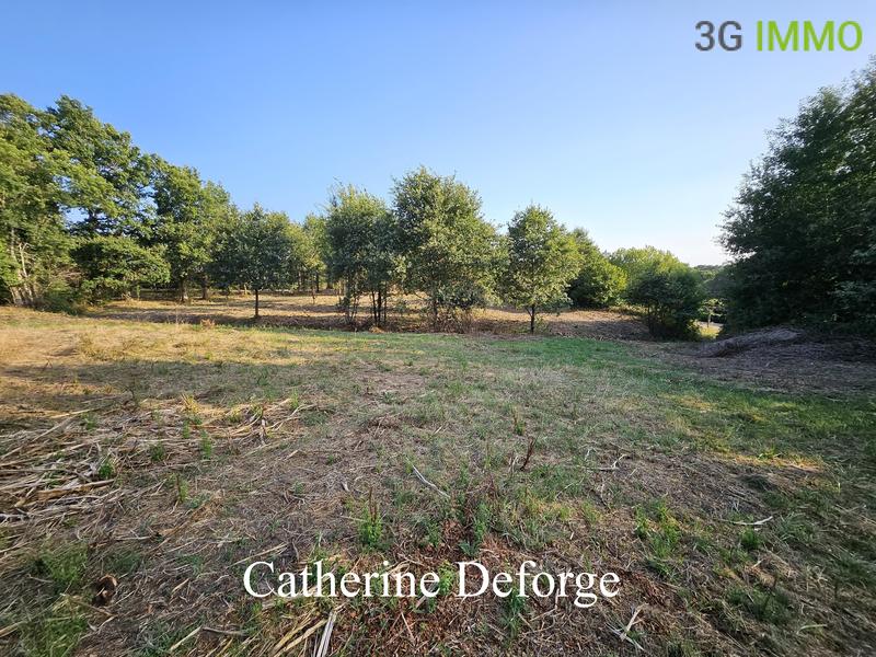 Maison - 145 m² - 10 pièces