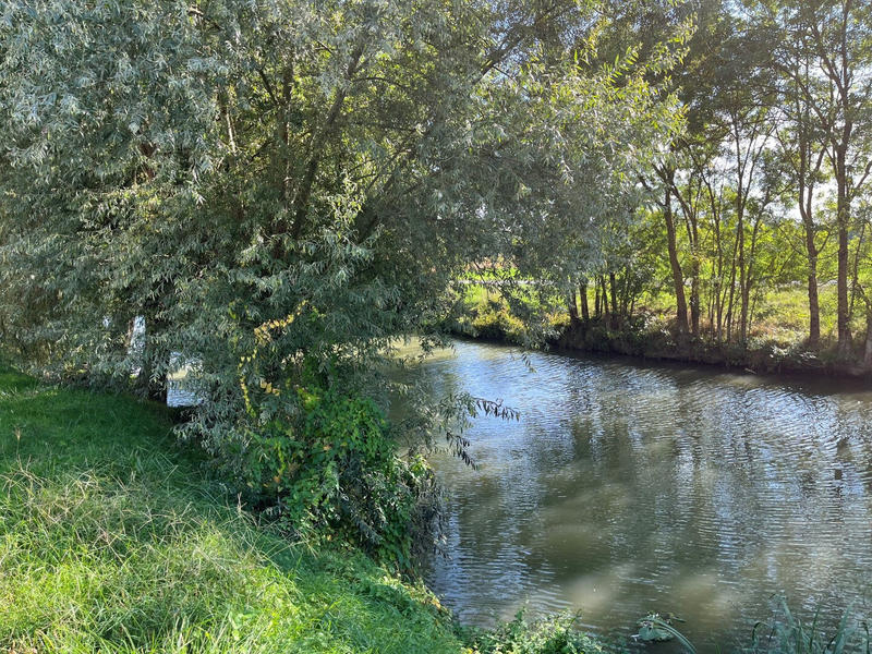 Maison - 145 m² - 5 pièces