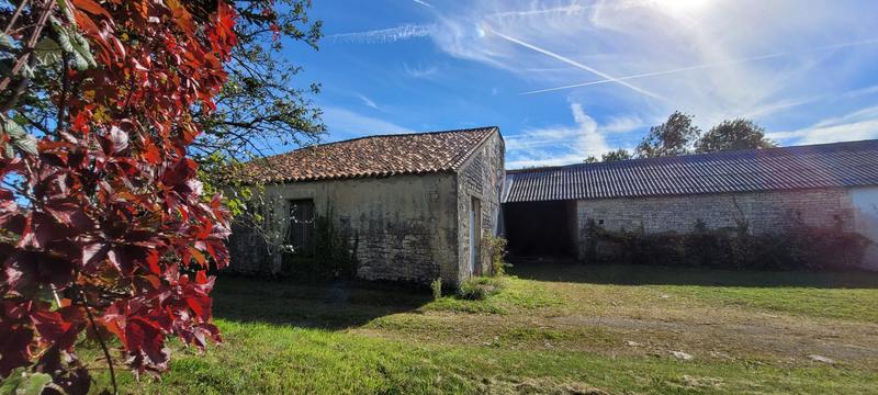 Ferme - 350 m² - 8 pièces