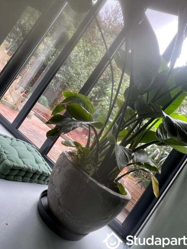 Chambre - 13 m² - 1 pièce