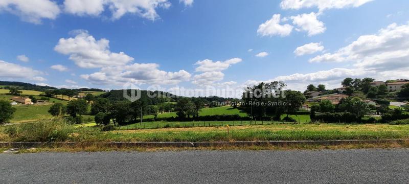 Appartement - 79 m² - 3 pièces