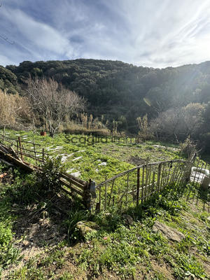 Maison - 25 m² - 1 pièce