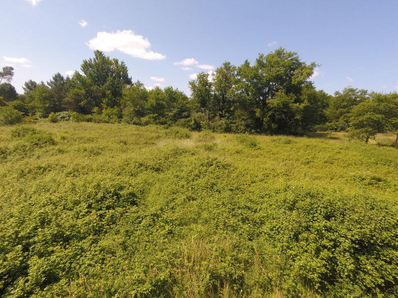 Maison - 135 m² - 1 pièce