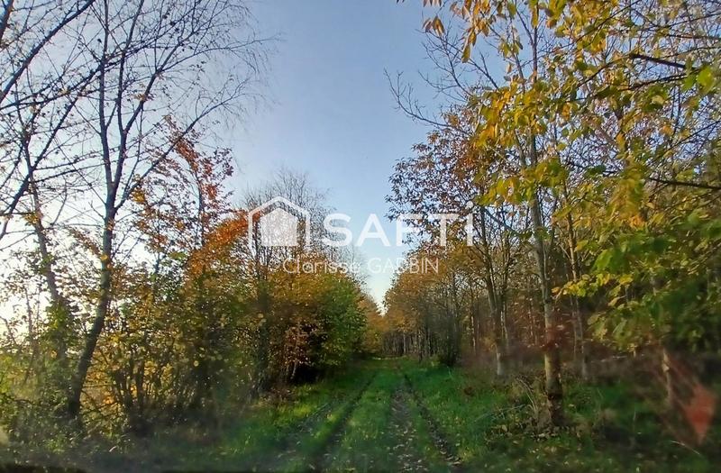 Maison - 178 m² - 6 pièces