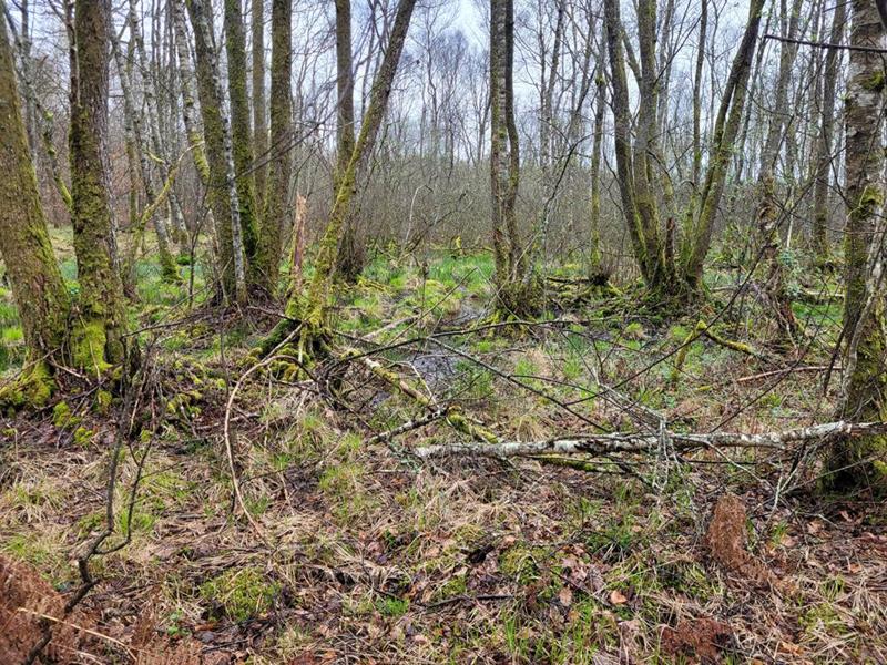 Étang - 142 558 m²