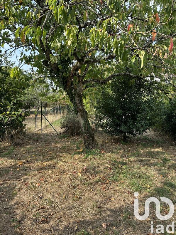 Maison - 115 m² - 6 pièces