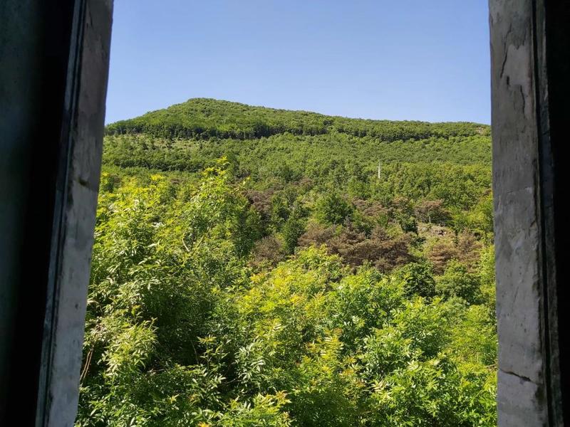 Maison - 450 m² - 19 pièces