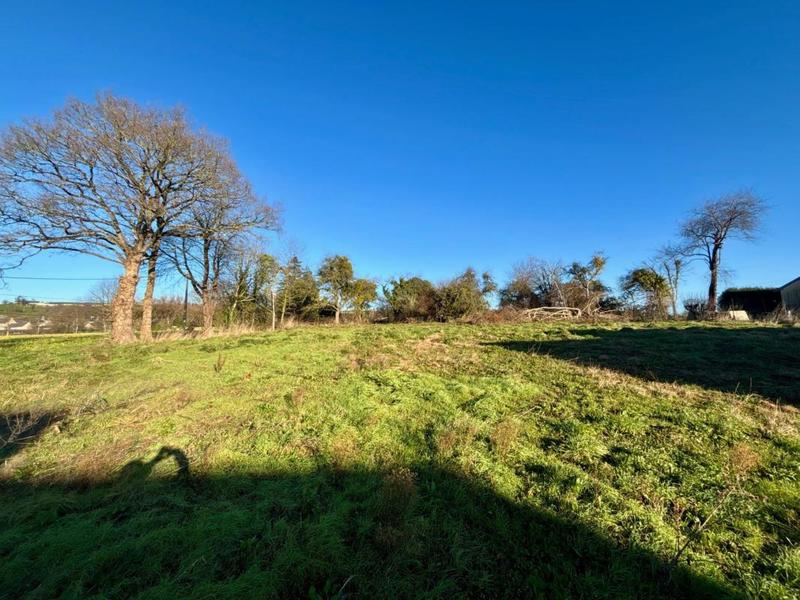 Maison en pierre - 128 m² - 6 pièces