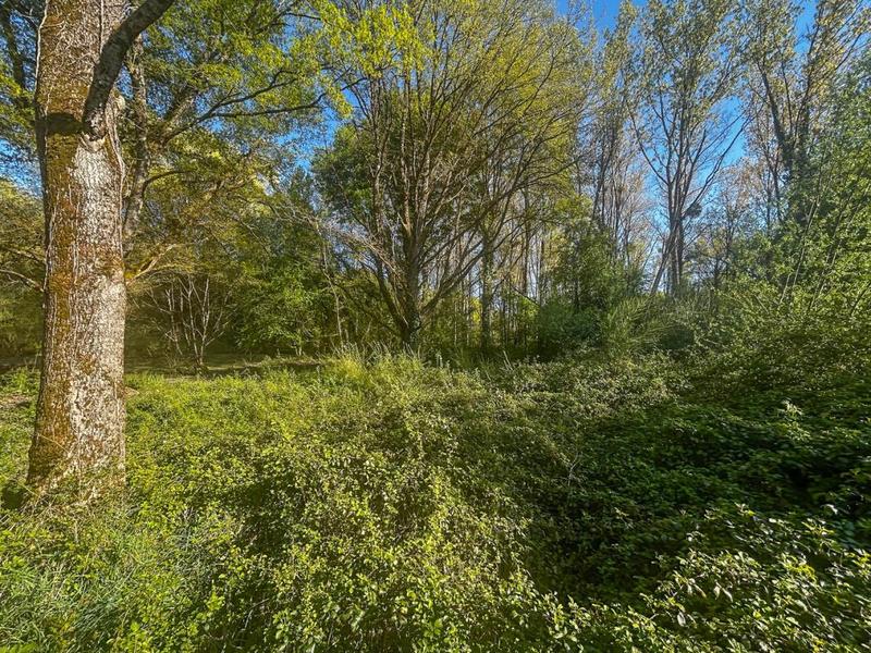 Terrain constructible - 6 804 m²