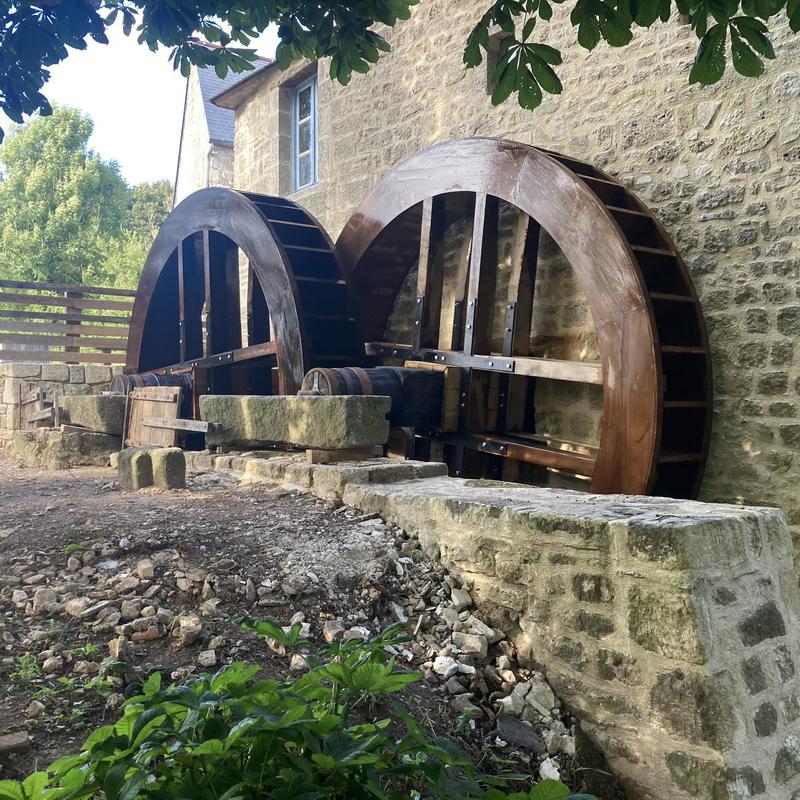 Une matinée au rythme du moulin… et d’un âne du Cotentin !